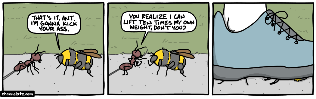 Ant vs Bee.