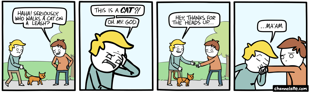 Cat.
