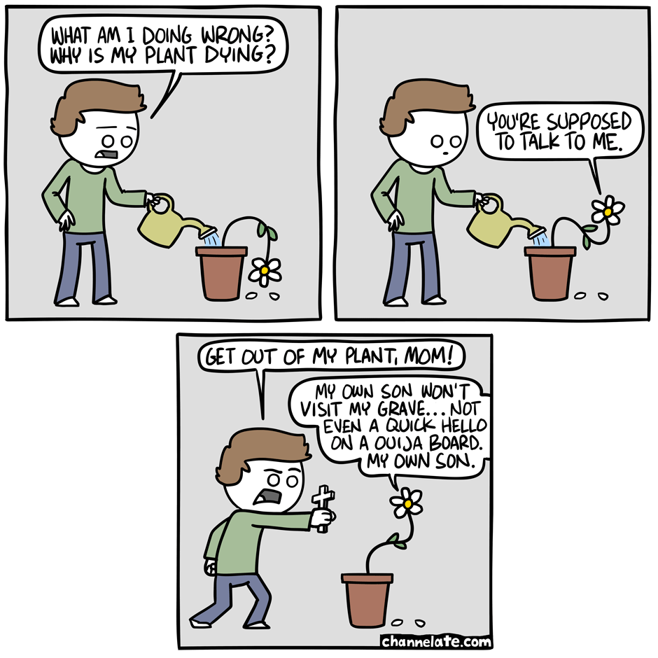Dead Plant