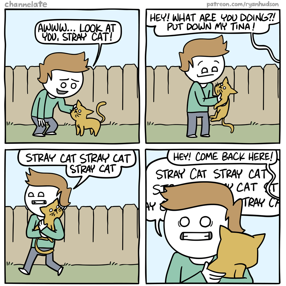 Stray Cat