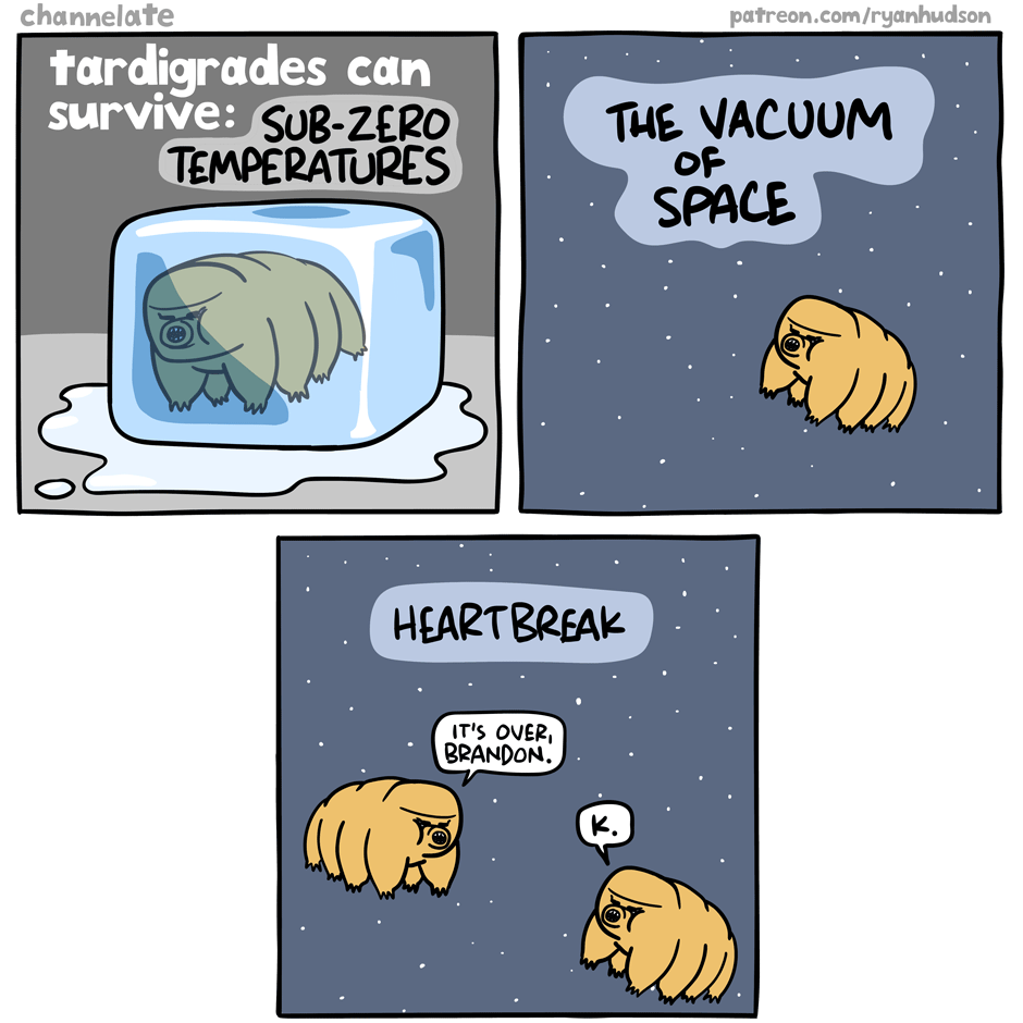 Tardigrades